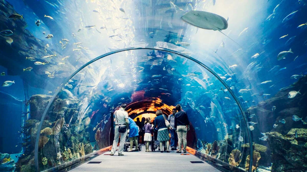 Dubai Aquarium Underwater Zoo